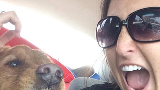 Selfie Dog Barfs
